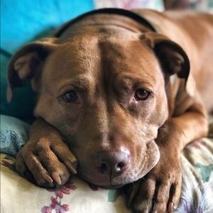 Meet your Posher, Hillary